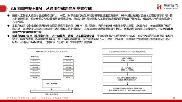 长鑫科技:中国"存",存世界